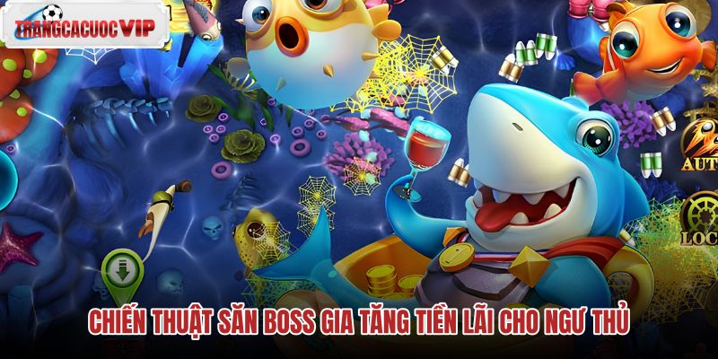 chien thuat san boss gia tang tien lai cho ngu thu chien thuat san boss gia tang tien lai cho ngu thu
