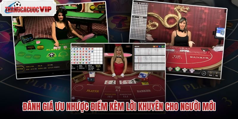 danh-gia-uu-nhuoc-diem-kem-loi-khuyen-cho-nguoi-moi