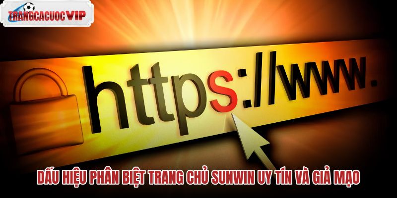 dau-hieu-phan-biet-trang-chu-sunwin-uy-tin-va-gia-mao