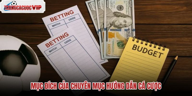 Chuyên mục hướng dẫn cá cược và vai trò bảo vệ người dùng