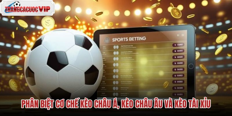 phan biet co che keo chau a keo chau au va keo tai xiu