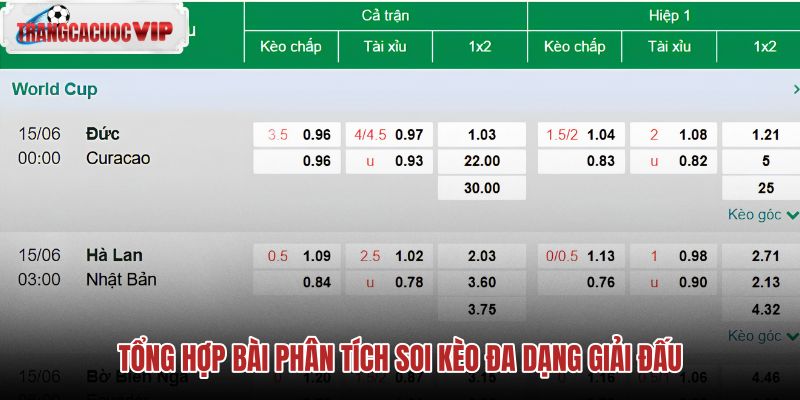 Phân tích soi kèo chi tiết từng giải đấu