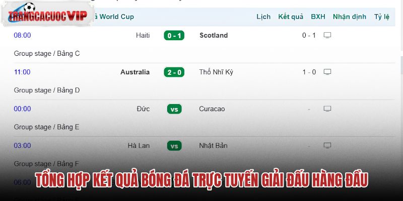 tong hop ket qua bong da truc tuyen giai dau hang dau