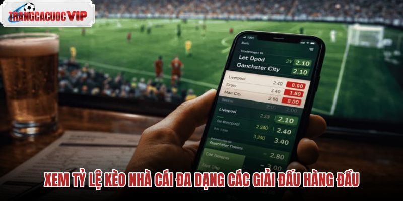 Tỷ lệ kèo nhà cái các giải đấu và hệ thống bộ lọc