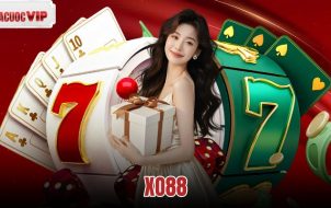 Xo88
