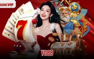 Yo88